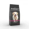 Prominent DOG PUPPY 3 kg