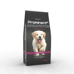 Prominent DOG PUPPY 3 kg