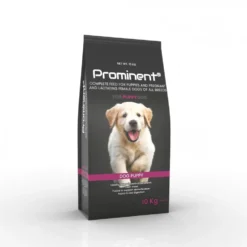 Prominent DOG PUPPY 10KG